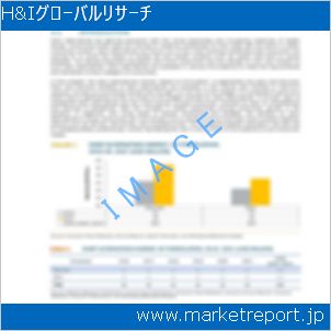市場と産業調査レポートのイメージ